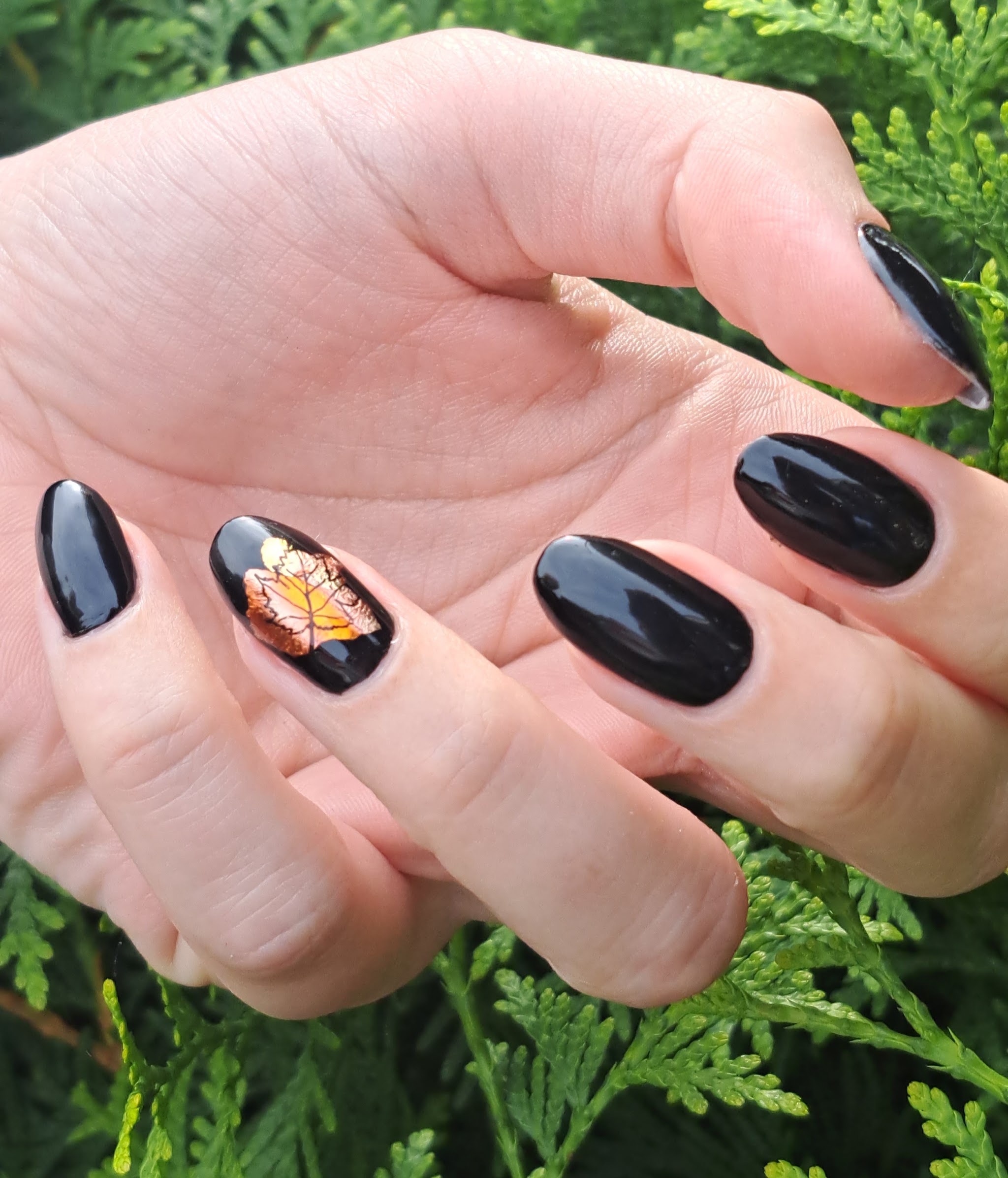 Glanzend zwarte nagels met een oranje herfstblad op één nagel, tegen groene takjes